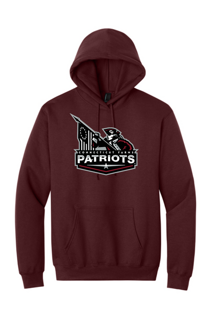 Connecticut Farms PC90H  Port & Co® Essential Fleece Pullover Hooded Sweatshirt