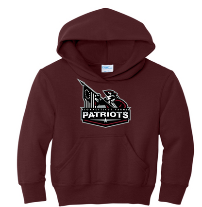 Connecticut Farms PC78YH YOUTH Port & Co® Essential Fleece Pullover Hooded Sweatshirt