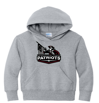 Connecticut Farms PC78YH YOUTH Port & Co® Essential Fleece Pullover Hooded Sweatshirt