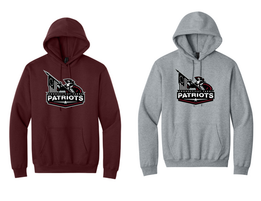 Connecticut Farms PC90H  Port & Co® Essential Fleece Pullover Hooded Sweatshirt